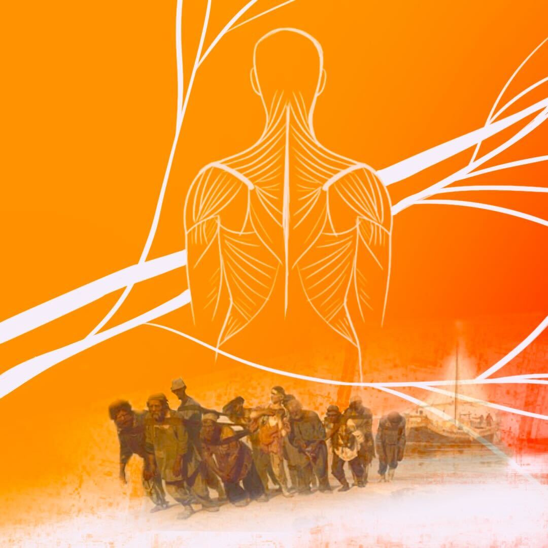 Цяглíца — гэта: