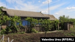 O ogradă țărănească la Tocuz cu latrina în partea dreaptă