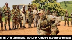 Od 2018. godine, ruski plaćenici pružaju sigurnost predsjedniku i vladinim zvaničnicima u Srednjoafričkoj Republici. Također obučavaju vladine snage.