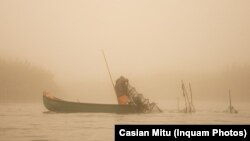 Delta Dunării, rămâne o destinație favorită a românilor amatori de natură sălbatică.