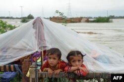 Din iunie până în octombrie, au avut loc în Pakistan inundații. Acestea au luat viața a peste 1.700 de oameni și peste două milioane au fost evacuați. Cel puțin 33 de milioane de oameni au fost afectați de dezastrul natural. Peste un milion de animale au murit înecate.