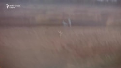 Mortierele ucrainene le strică rușilor planurile de a cuceri orașul Bahmut