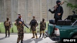 طالبان میگویند که در تلاش اند تا جلو فعالیت های داعش را به صورت کامل بگیرند. 