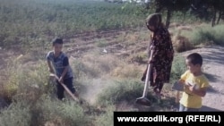 Жительница Ангарского района Сурхандарьинской области вместе с детьми чистит улицу от верблюжьей колючки.  