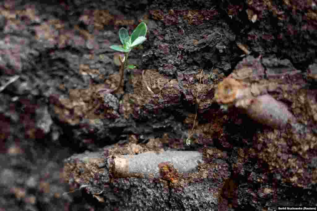 Використаний патрон в&nbsp;окопі на передовій