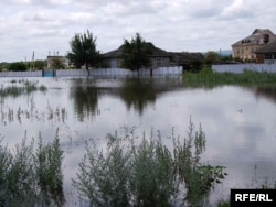 Ташкындаган Прут дарыясы. Молдова тарабы. 08.7.2010.
