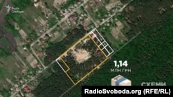 А в селі Тарасівка під Києвом у Лавренюк ще вісім земельних ділянок