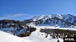 Вид на восточную часть плато Кок-Жайляу с Сухого хребта. По первоначальному проекту, рукотворный еловый лес на переднем плане  справа должен был пойти под топор ради строительства здесь альпийской деревни. 9 февраля 2017 года.