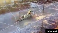 A screen grab from a 34-second video on the Facebook page of an Islamic State militant from Kazakhstan, Abu Aisha al-Kazakhi (aka Artyom Andreyev), shows a young child in a military-style training. 