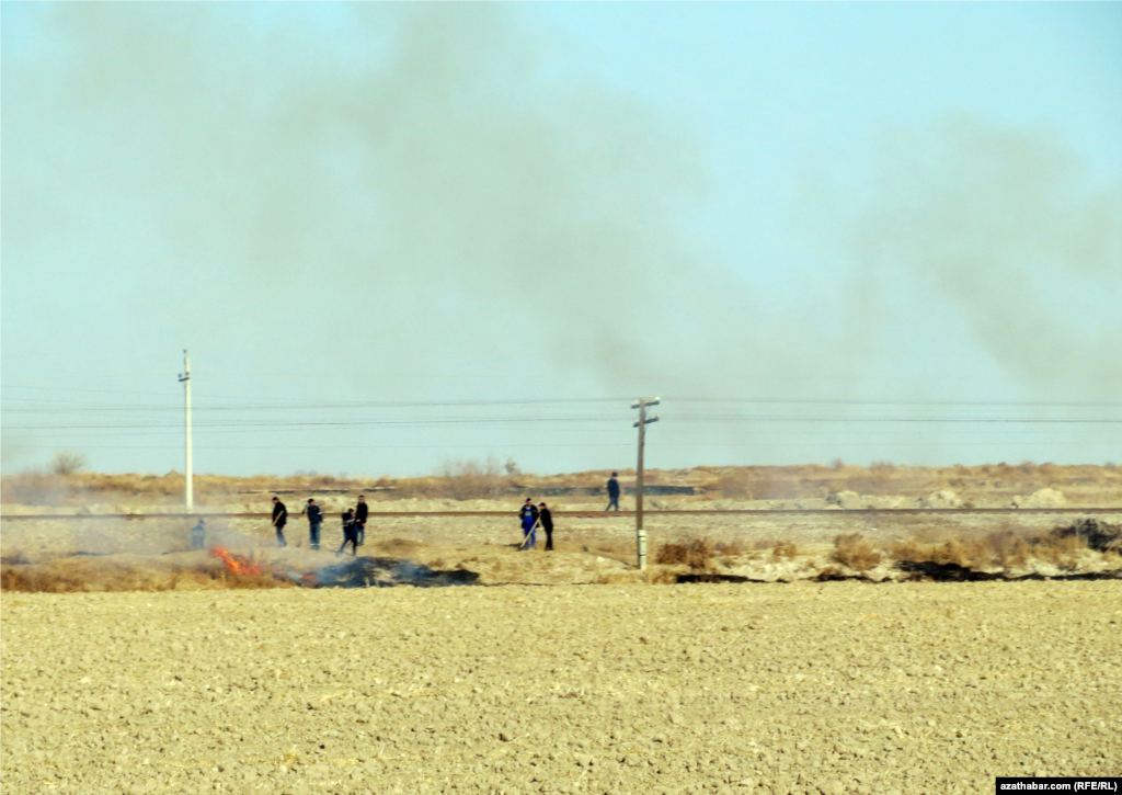 Mary. Arassaçylyk işlerine kärendeçiler hem çekildi. Ýanwar, 2018.
