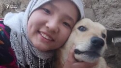 Чек ара: Элзаданын жаш өмүрү жайран болду