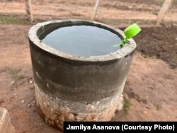 Таалайгүлдүн үйүндө жамгыр суусун чогулткан атайын челек бар.