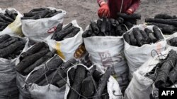 آرشیف - عکس جنبه تزئینی دارد