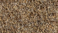 Imagini din satelit arată cum trimite Rusia în Siria cereale furate din Ucraina
