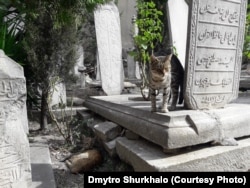 Менше від 10% сучасних турків можуть прочитати старі османські написи арабським письмом