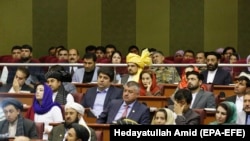 آرشیف، شماری از اعضای ولسی جرگه افغانستان