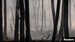 За даними DeepState, противник просочується лісами між Ямполем, Зарічним і Лиманом. На фото: лісова пожежа поблизу Лиману, 27 липня 2024 року