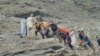 په کوهستان کې مرستندویه کارکوونکي او ځايي خلک د ټرافیکي پېښې ښکار شوی کس امبولانس ته انتقالوي - د مې لومړۍ نېټې انځور. 