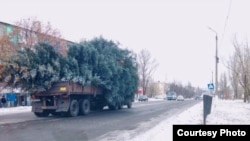 Фото автора. Ялинка, яку везуть повз 4-й мікрорайон міста Чистякове