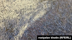 А це крупний план «пльонток» на одній з картин Івана Марчука. Видно ці переплетені нитки, з яких складається його стиль «пльонтанізм»