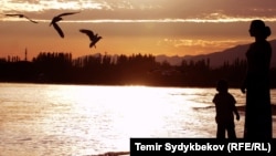 Иллюстрациялык сүрөт