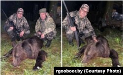 Андрэй Русановіч забіў мядзьведзя ў Барысаўскі раёне, 18 ліпеня 2025 году, фота Беларускага таварыства паляўнічых і рыбаловаў