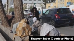 شماری از معتادان درولایت هرات 