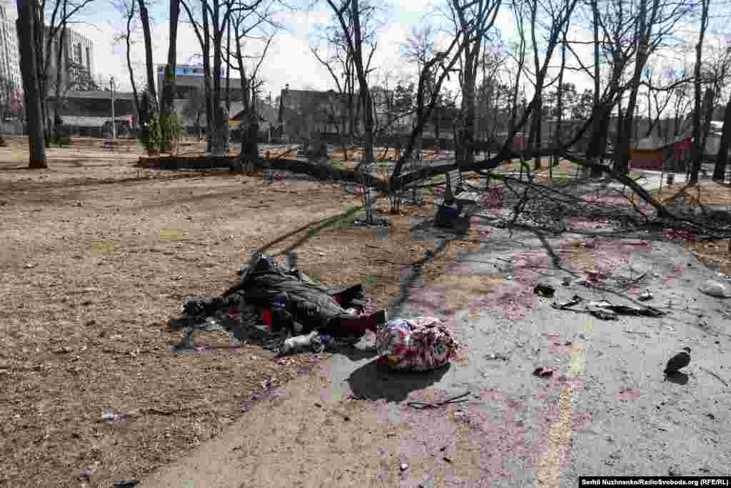 Цела жанчыны ў ірпеньскім парку Дубкі. У цяперашні час нічога не паказвае на тое, што тут месца гібелі чалавека.Зьлева фота 11 сакавіка 2022 году, справа — з сакавіка 2025 году