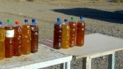 Türkmenistanda pagta ýagy gytalýar we gymmatlaýar