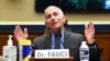 Головний медичний радник Білого дому Ентоні Фаучі 