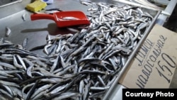 Хамса на ринку Керчі, 2020 рік