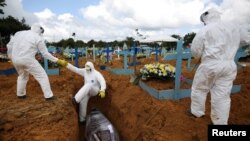 Бразилия, январь 20221-жыл