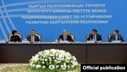 Заседание Национального совета по устойчивому развитию. 3 апреля 2017 года