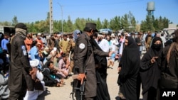 دو نیروی طالب در میان مهاجران برگشته از ایران