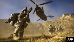 ارشیف، عکس تزئیني بڼه لري