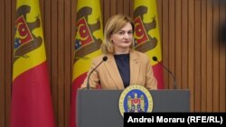 Vicepreședinta Parlamentului, Doina Gherman, la o conferință de presă la guvern, pe 3 aprilie 2025
