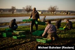 Fermierii ar trebui să pună fertilizatori în pământ pentru a avea producții mari la toamnă