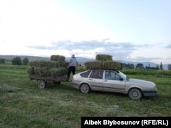 Иллюстрация. Жумгалдын Кызарт айылы.