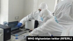 لابراتوار تازه ایجاد شده آزمایش ویروس کرونا در ولایت پروان.