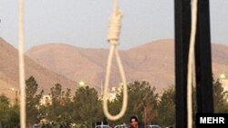 تصویر آرشیف٬ جنبهٔ تزئینی دارد 