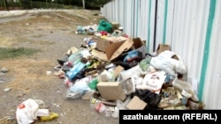 Zir-zibiller. Illýustrasiýa suraty