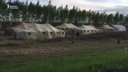 Оренбург: Чатыр лагерде коргологон мигранттар