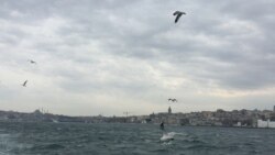 Жылдыз: төрт айдан бери сыртка чыкканга убакытым жок