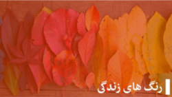 رنگ های زندگی
