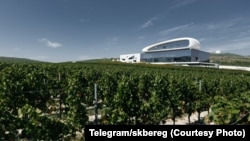 За винодельней "Скалистый берег" стоят бизнес-структуры, связанные с семьей Дмитрия Медведева