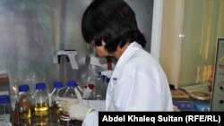 Иллюстрациялык сүрөт. 