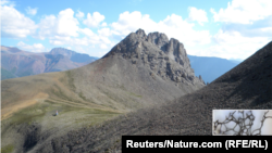 Елизабет Търнър открива фосилите на древния вид водна гъба през 80-те в Северозападните територии, Канада. Долу вдясно: триизмерен фрагмент от скелета на същесвтуваща днес водна гъба.