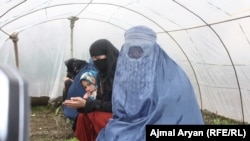 شماری از زنان در ولایت کندز