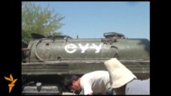 Сууга зарыккан чарбактыктар