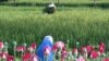 Afghan Opium Farmers Killed In Clash With Police